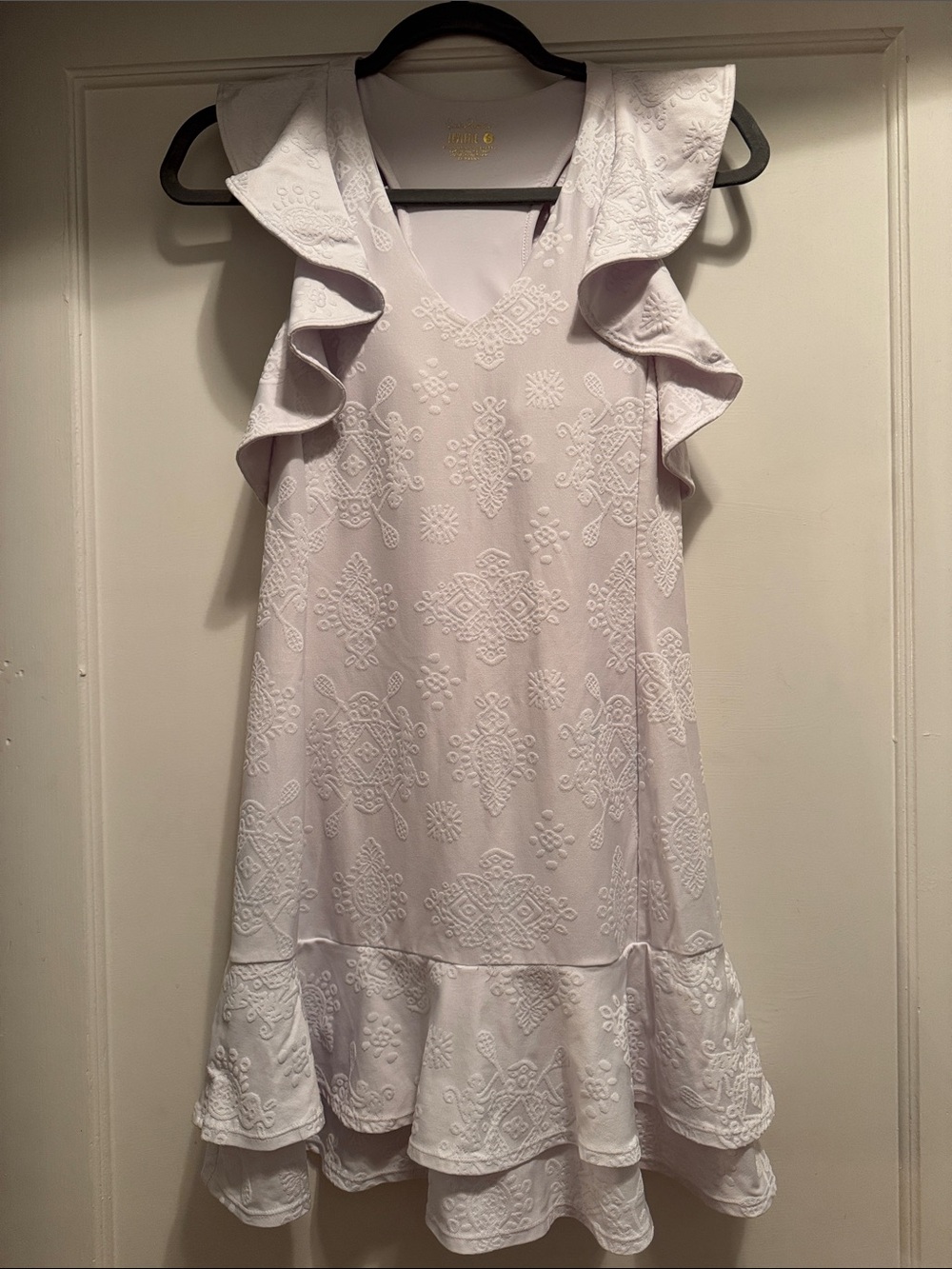 Lilly Pulitzer Embroidered Ruffle-Sleeve Mini Dress